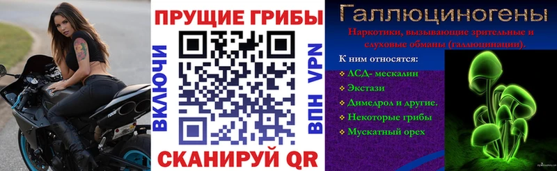 Псилоцибиновые грибы мухоморы darknet как зайти Новоалександровск магазин